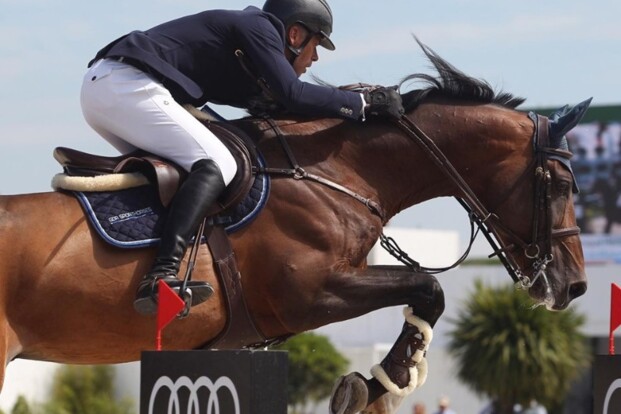 Hendrickx wint overtuigend hoofdrubriek! Hendrickx wint overtuigend hoofdrubriek!
