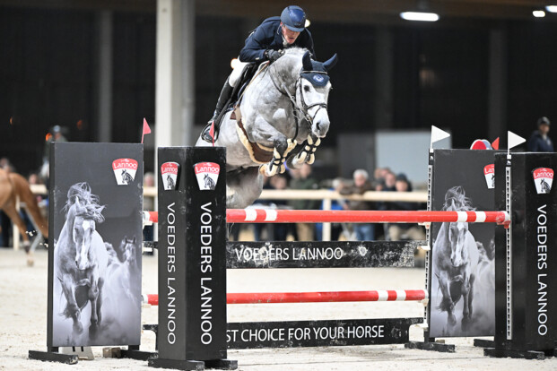 Uitkijken naar Lannoo Belgian Stallion Competition powered by Eurohorse