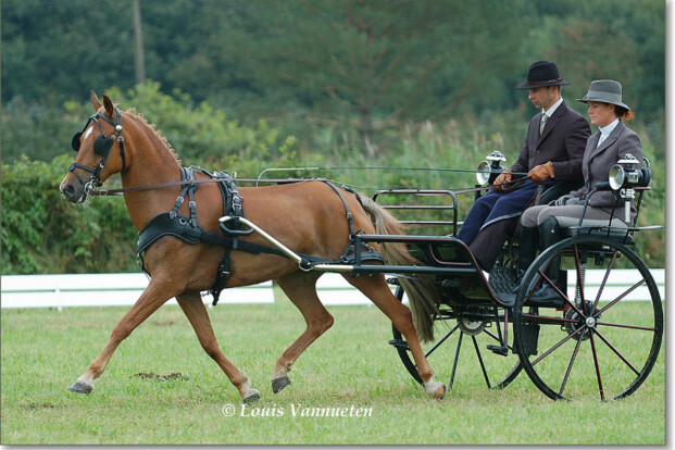 VLP, trainingsdag enkel- & dubbel - 8 maart