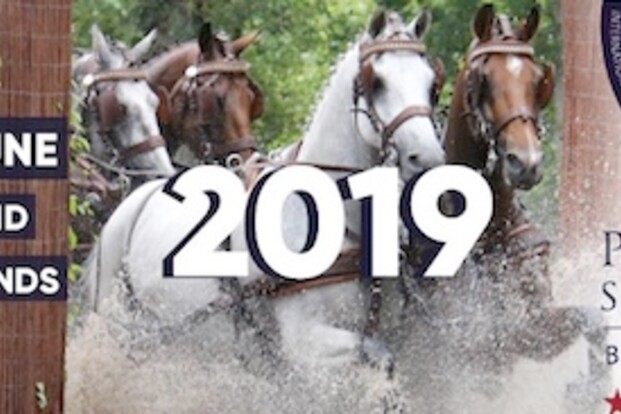 Dossier Beekbergen (NED) - 26-30/06/2019