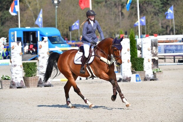 Van de Poel voor Auwers in CSI2* GP!