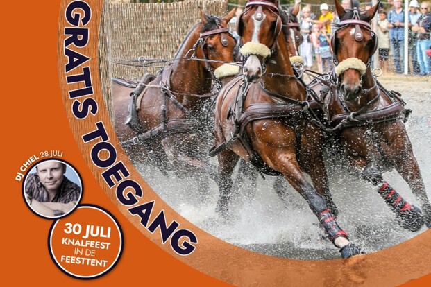 Paardenspektakel Beekbergen: topsport, paardenplezier en gezelligheid