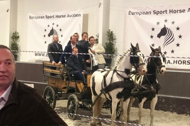 €43.000 voor veilingtopper ESHA!
