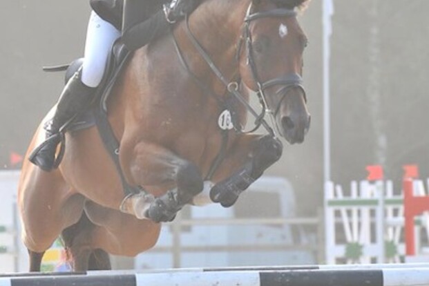 CSI2* Opglab.: C. Aston wint 1.40m rubriek! CSI2* Opglab.: C. Aston wint 1.40m rubriek!