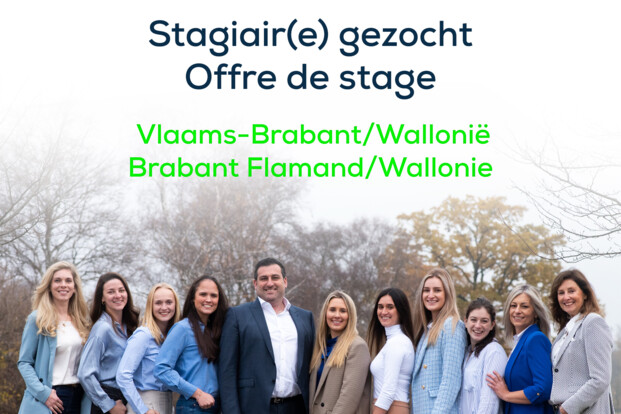 Vacature Immofluisteraar: stagair(e) Vlaams-Brabant/Wallonië
