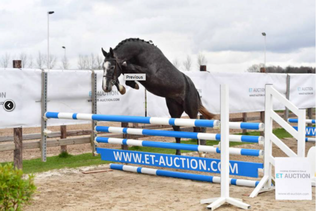 26,000 euro voor topper tijdens ET-auction