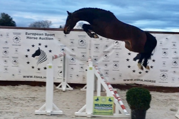 ESHA veilingtopper levert 21.000 euro op