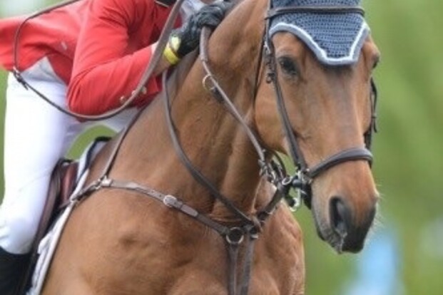 Nicola Philippaerts' Cortez naar Mexicaanse