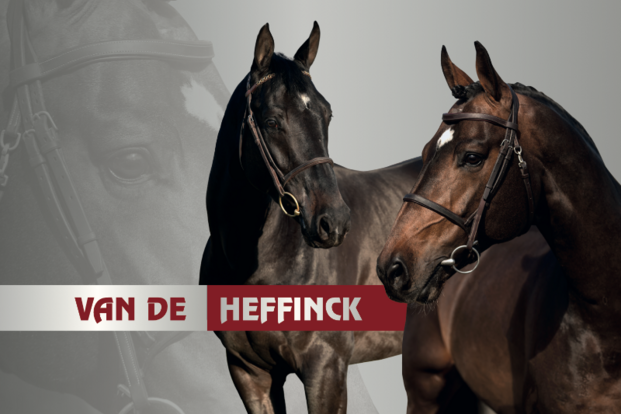 Vernieuwde site Van de Heffinck met recente