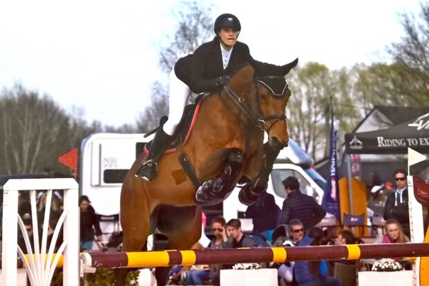 Nieuwe bestemming voor beloftevolle paarden Nieuwe bestemming voor beloftevolle paarden