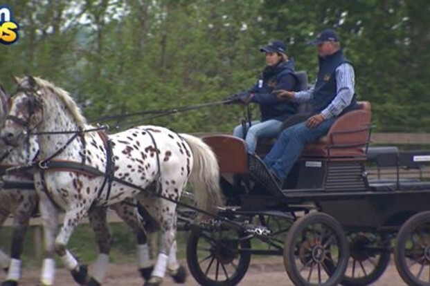 Mensport in de kijker