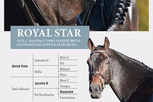 Nu beschikbaar : Royal Star !