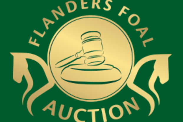 Selectiecomité Flanders Foal Auction op rond