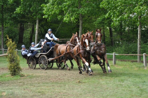 Samenwerking Voeders Lannoo – Glenn Geerts