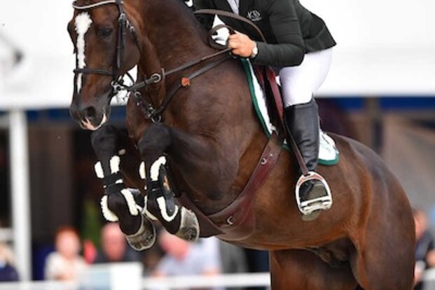 De Brabander en Peeters in de top 5 van LR!