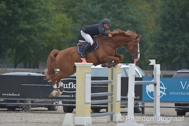 CSI2* Kronenberg: Berrittella wordt 5de CSI2* Kronenberg: Berrittella wordt 5de