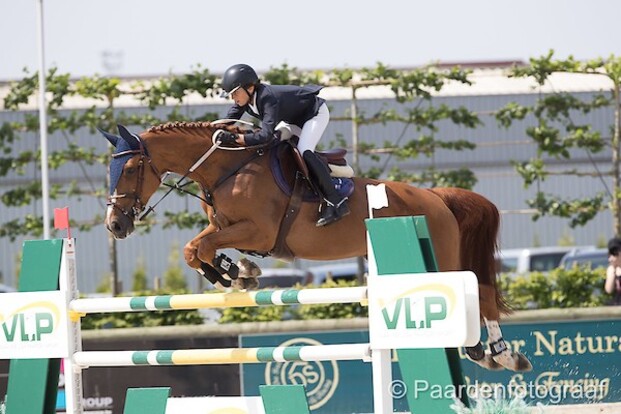 CSI1* Arezzo: Winst voor Luiz Felipe Neto CSI1* Arezzo: Winst voor Luiz Felipe Neto