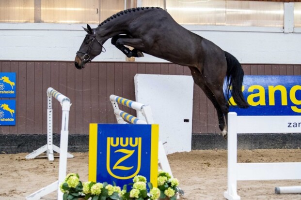 € 94.000 voor Dominator-dochter