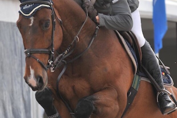 Groentenjumping: Claeys en Charmeur winnen Groentenjumping: Claeys en Charmeur winnen