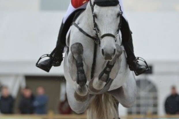 Elegance Casablanca wint opnieuw in Goubergh Elegance Casablanca wint opnieuw in Goubergh