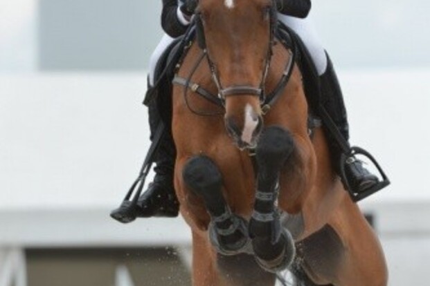 Lorenzo de Luca nieuwe ruiter op Stephex Lorenzo de Luca nieuwe ruiter op Stephex