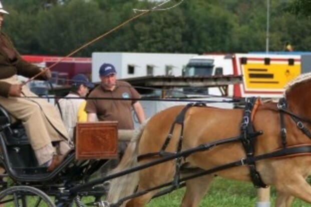 Paard & Koets, dressuurclinic Sven Tinlot