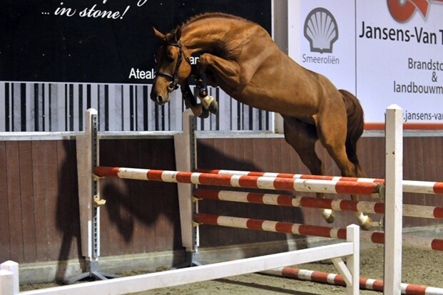 Scendro en Denzel leveren winnaars Turnhout