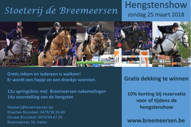 25/3: Hengstenshow Stoeterij de Breemeersen 25/3: Hengstenshow Stoeterij de Breemeersen