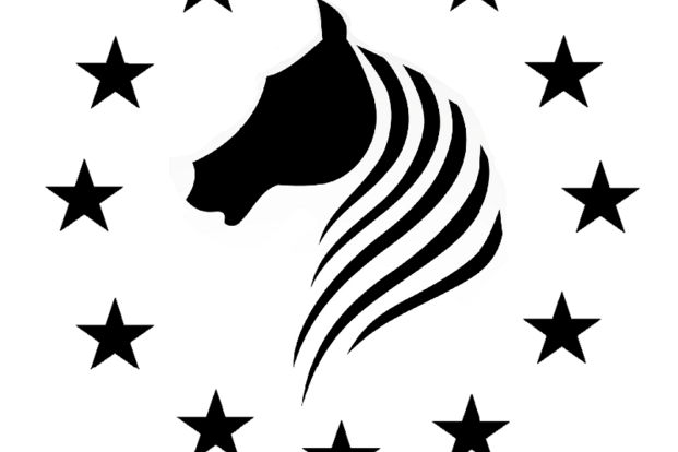 Paardenveiling in Manege Molenheide