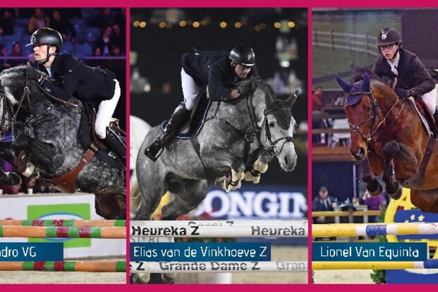 PAVO Hengstencompetitie: Leandro bij de 7j!