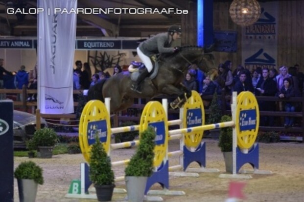 Grote leidersgroep Pavo Hengstencompetitie