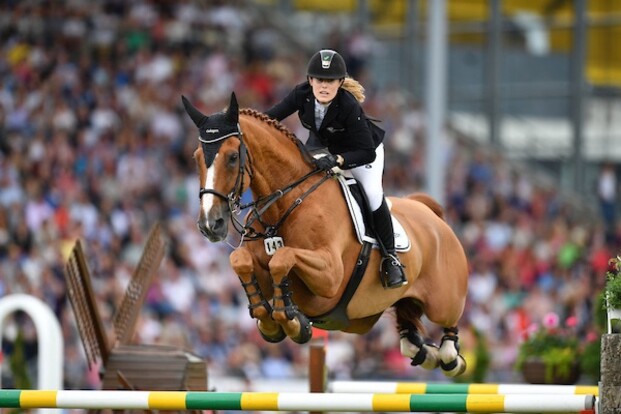 Halfbroer Goja 27 naar Stephex Stables Halfbroer Goja 27 naar Stephex Stables
