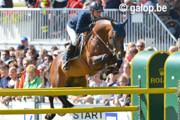 Vivant vd Heffinck wint Championat von Mannheim