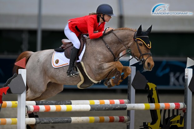 Springfout in barrage houdt Robin Vermeir van het podium in de CSIOP-GP van Compiègne