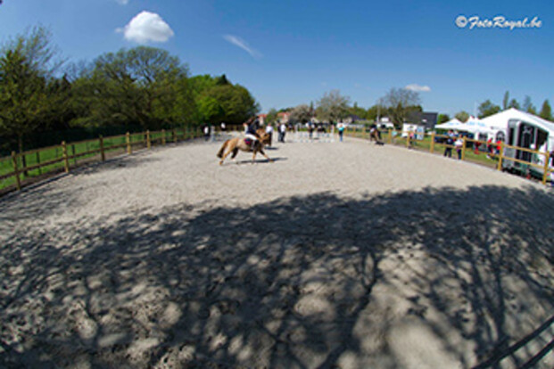 Finale HROV-ponykampioenschap op til @ Ster Hippique met nieuwe eb-vloed inrijpiste