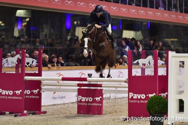 PHC: 4 hengsten met 4 op 4 bij de 5-jarigen
