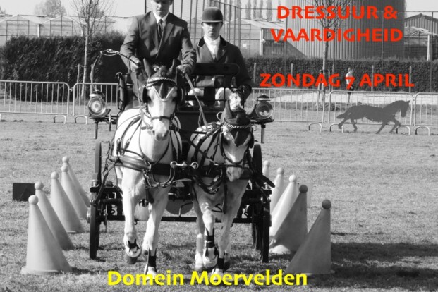 Dressuur en vaardigheid in Ranst - 7 april