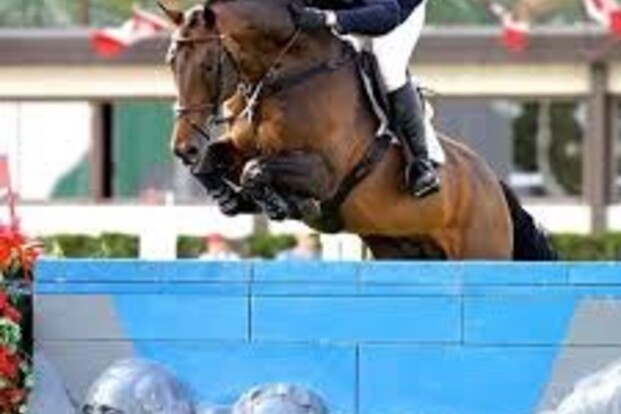 Conrad vierde in zware GP Wellington
