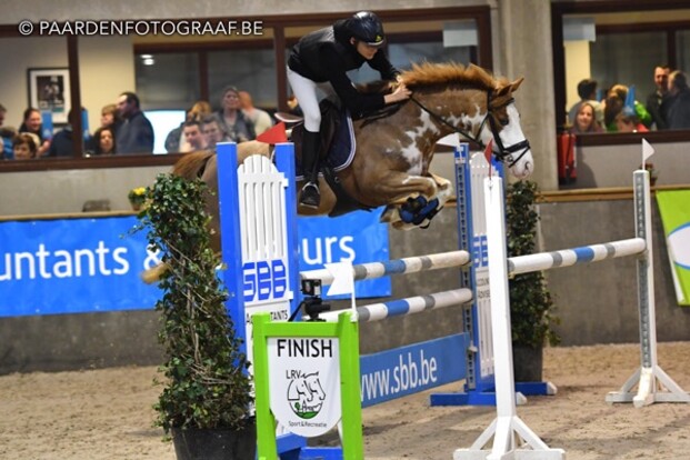 De nationale kampioenen pony's Barema