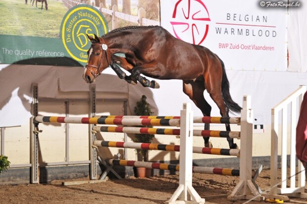 Petrus De Brandegem wint vrijspringen Z-O-VL