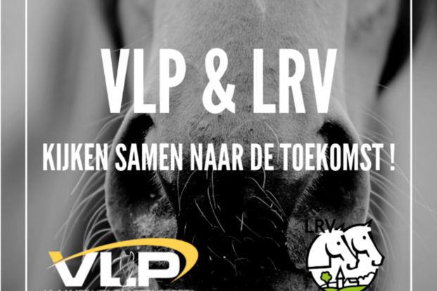 LRV en VLP kijken samen naar de toekomst!