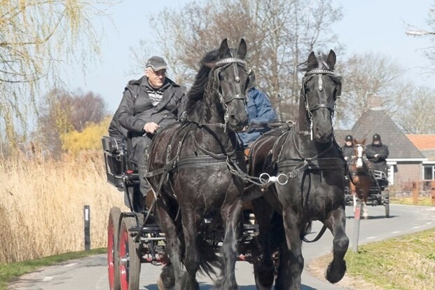 De nieuwe MenSport komt eraan