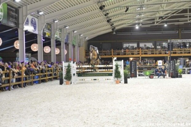 Britse hegemonie in Prijs Euro Horse Lier Britse hegemonie in Prijs Euro Horse Lier