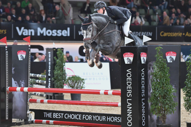 Foto's BWP Keuring en Belgian Stallion Competition zijn online