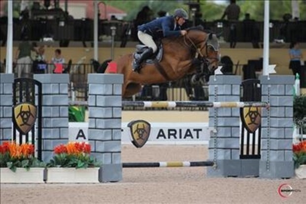 De Wandel vijfde in eerste CSI5* GP De Wandel vijfde in eerste CSI5* GP