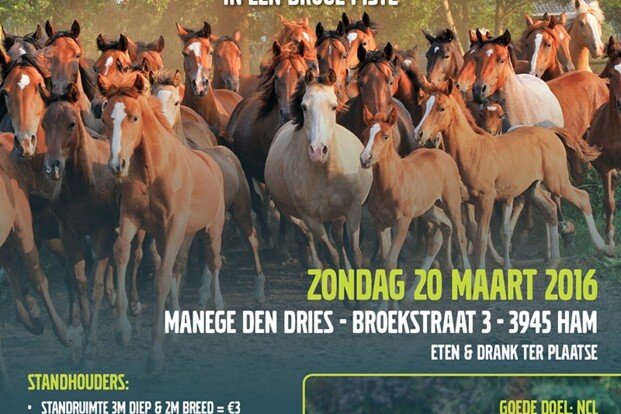 2de hands beurs paardenmateriaal & speelgoed 2de hands beurs paardenmateriaal & speelgoed