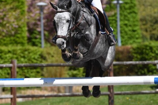 CSI2* Gent: Nuytens leidt Belgisch peloton!