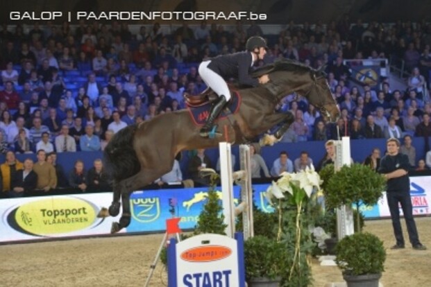 Nicola Philippaerts 4e in Youngster Final Nicola Philippaerts 4e in Youngster Final
