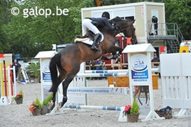 Opening inspringpiste Ster tijdens eerste editie van Ster Hippique