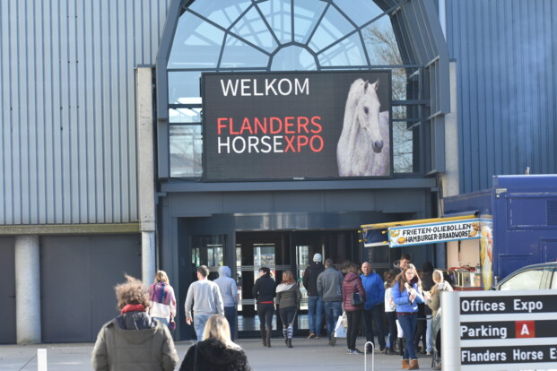 Mennen@Flanders Horse Expo – Best of Belgium